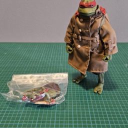 Thumbnail for Raphael (disguise)