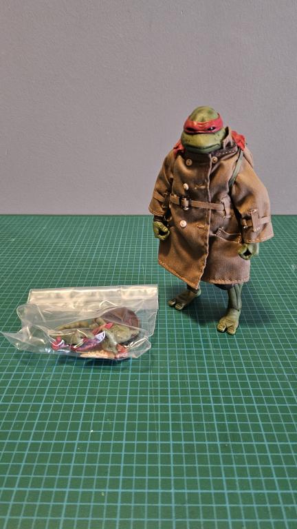 Main image for Raphael (disguise)