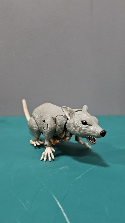 Main image for Rattrap