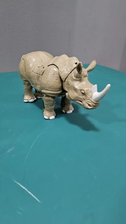 Main image for Rhinox